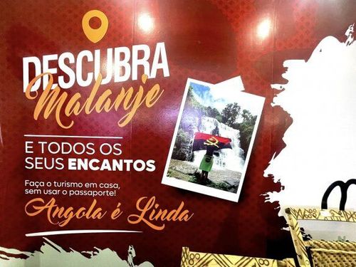 Notícia